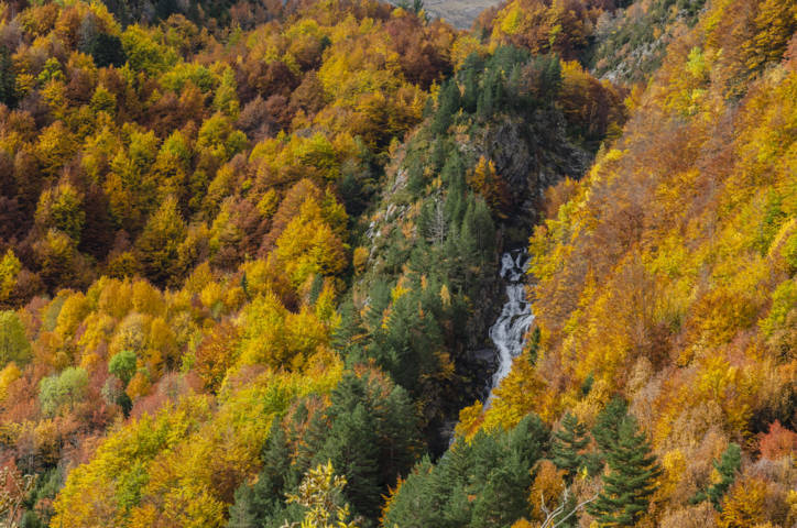 Huesca - valle de Bujaruelo 27.jpg